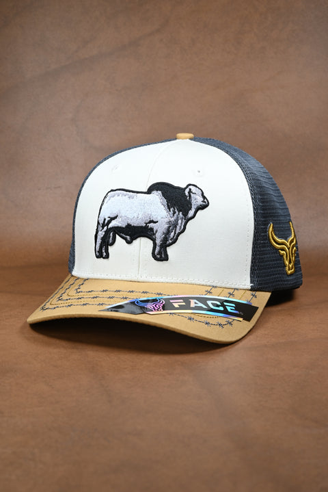 FACE BRAHMAN MOSTAZA/CREMA/GRIS