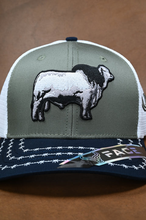 FACE BRAHMAN MARINO/OLIVO/BLANCO