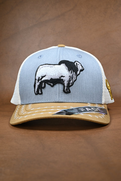 FACE BRAHMAN MOSTAZA/GRIS/CREMA