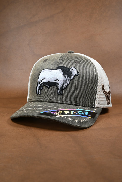 FACE BRAHMAN LONA ENCEREADA (NO MAYOREO)