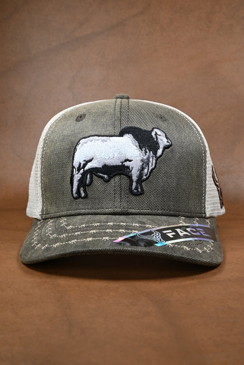 FACE BRAHMAN LONA ENCEREADA (NO MAYOREO)