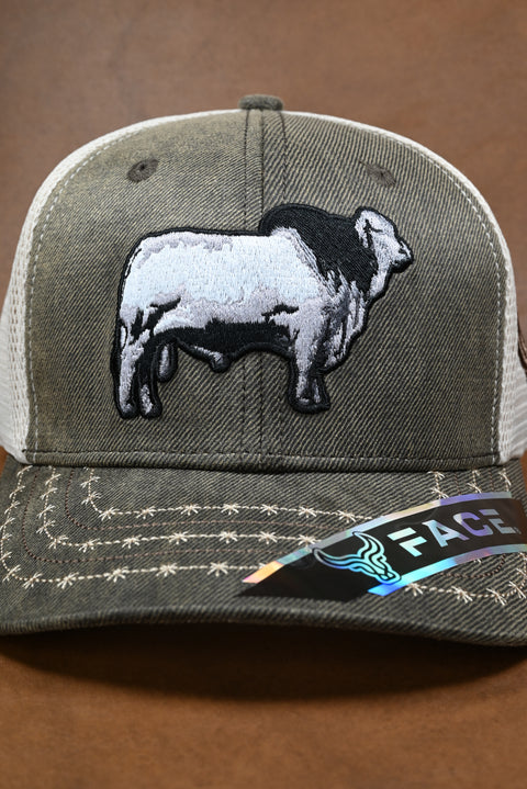 FACE BRAHMAN LONA ENCEREADA (NO MAYOREO)