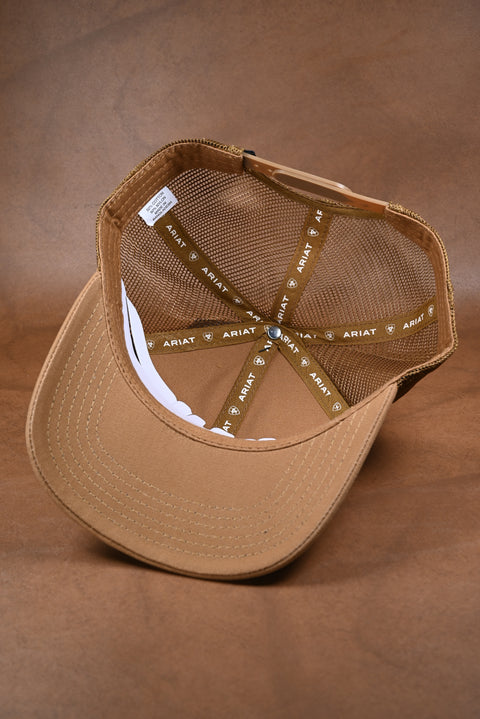 ARIAT BASIC