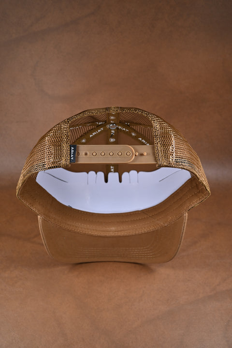 ARIAT BASIC