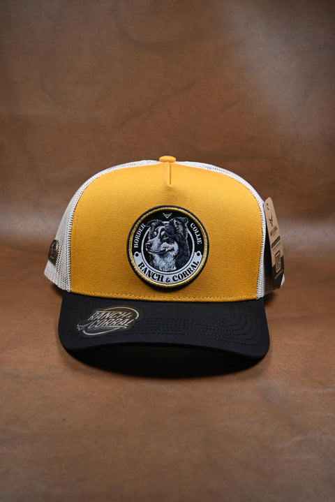 RANCH & CORRAL ESPECIAL CE090 BORDER COLLIE