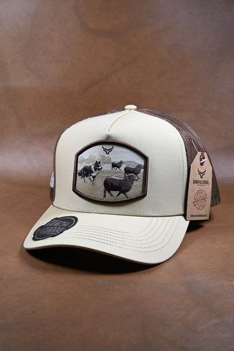 RANCH & CORRAL 7 NUEVO DROP