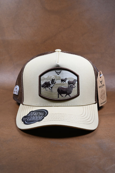 RANCH & CORRAL 7 NUEVO DROP