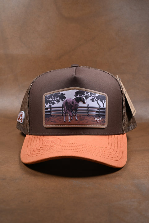 RANCH & CORRAL 11 NUEVO DROP