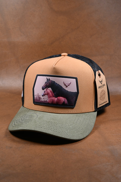 RANCH & CORRAL 12 NUEVO DROP