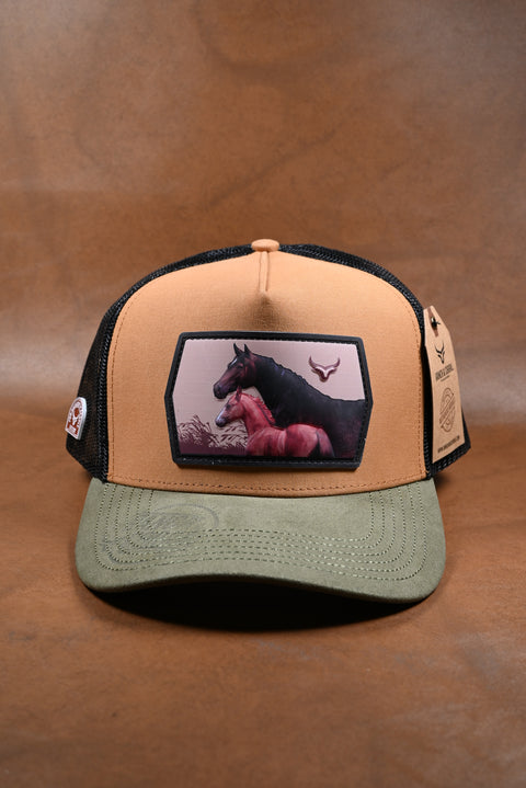 RANCH & CORRAL 12 NUEVO DROP