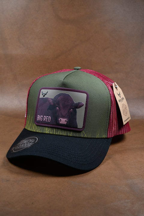 RANCH & CORRAL 14 NUEVO DROP