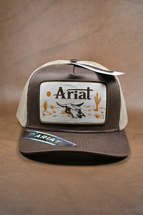 ARIAT ELITE PLUS
