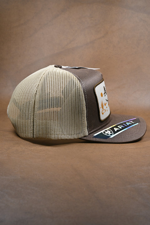 ARIAT ELITE PLUS