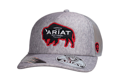 ARIAT BASIC